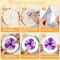 Punch Needle Coaster Kit for Beginners – 6 Floral Patterns, Embroidery Punch Needle Kit with Yarn, Adhesive Felt, Hoop, Instructions – DIY Coaster Art for Adults & Kids